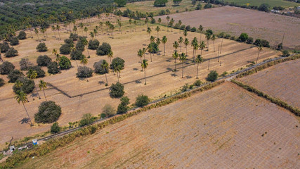 Fototapeta premium drone