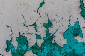 green paint on the wall