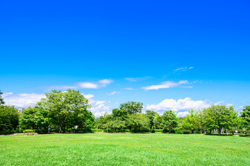 青空と緑の公園
