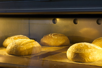 Rustic bread in the oven baking