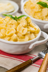 Macaroni and Cheese Background. Selective focus.