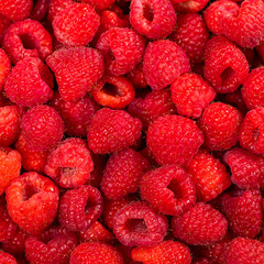 Fresh Raspberry Background. Selective focus.