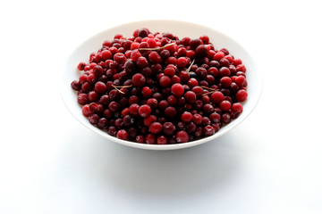 A lot of frozen cranberries in the white dish on a white table