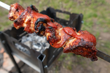 Juicy roasted shashlik (meat kebab) grill with tomato sauce ketchup, barbeque picnic. Yammy food close-up with grill