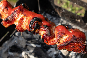 Juicy roasted shashlik (meat kebab) grill with tomato sauce ketchup, barbeque picnic. Yammy food close-up on hot charcoal