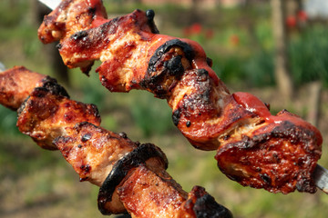 Juicy roasted shashlik (meat kebab) grill with tomato sauce ketchup, barbeque picnic. Yammy food close-up on green nature background