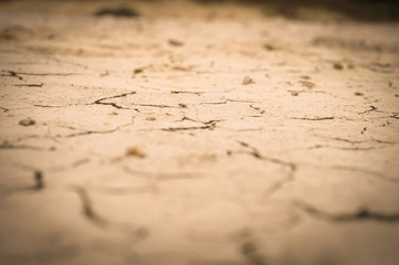 Draught, dry soil - global warming concept
