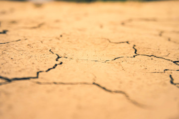 Draught, dry soil - global warming concept