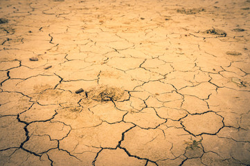 Draught, dry soil - global warming concept