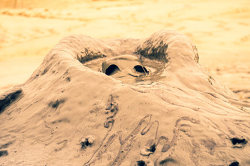 Mud vulcanos in Buzau, Romania