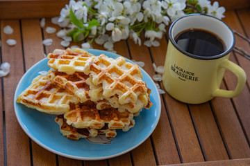 Plate with Belgian waffles with homemade cottage cheese and a cup of coffee standing on a wooden table decorated with a flowering cherry branch
Breakfast for the whole family