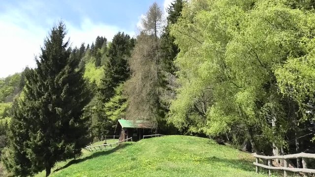 primavera nelle prealpi