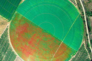 Aerial drone shot of a Pivot irrigation land a perfect green circle