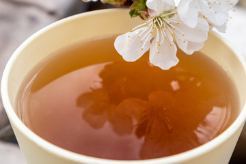 Light sunny cup with spring aroma flavored tea close-up. Cherry blossom white flowers on mug with reflection. Lifestyle nature outdoors romantic mood