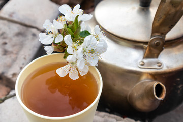 Light sunny cup with spring aroma flavored tea and old grunge soot vintage teapot. Cherry blossom white flowers on mug. Lifestyle nature outdoors recreation picnic mood