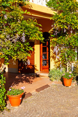 Fototapeta na wymiar entrance of a luxury house with plants