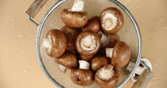 Wild mushrooms in a colander slowly rotate.