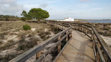 bridge over the river