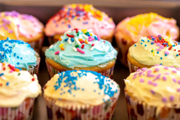homemade cupcakes with colorful frosting and sprinkles
