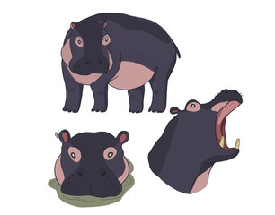 Cartoon Illustration of Hippo or Hippopotamus.