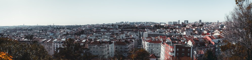 Obraz premium A panoramic shot of a Lisbon from high above: an urban skyline with plenty of traditional Portuguese houses, streets, and roads; a row of trees in a defocused foreground, sunny day