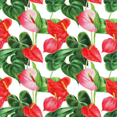 Seamless pattern with anthurium on an isolated white background, watercolor jungle, botanical drawing.