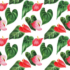 Seamless pattern with anthurium on an isolated white background, watercolor jungle, botanical drawing.