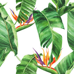 Seamless pattern with  tropical leaves, strelitzia on an isolated white background, watercolor jungle, botanical drawing.