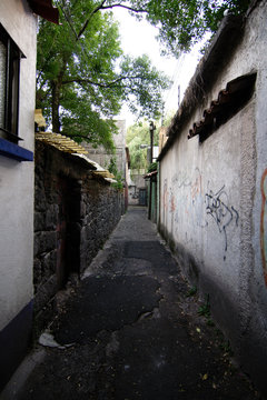 The Callejon del Agacate (Avocado Alley) is  a famous typical alley in the traditional Coyoacan district, Mexico City, Mexico.