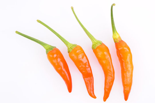 Four of Red Hot Chillies. Cayenne peppers © Heru