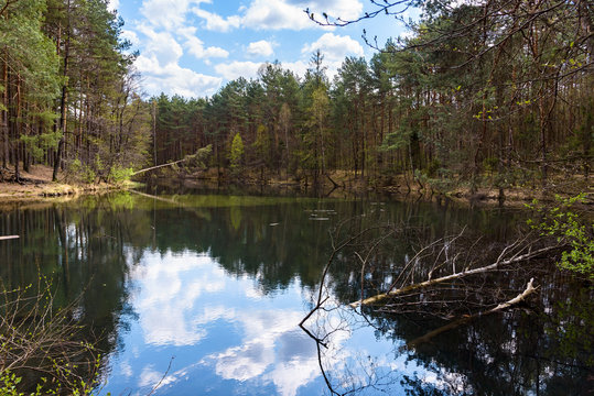 Wild Zabnik river in the nature reserve in Jaworzno