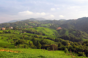 TRABZON, TURKEY -  JUNE 28, 2008: Of county, Villages and Tea plantations