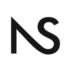 ns letter vector logo