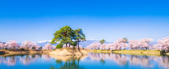 Poster 春イメージ　信州の桜風景 © oben901