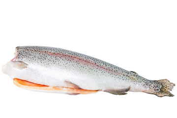 Big fresh red headless fish. Healthy lifestyle. Isolated on a white background. Space for text. Side view.