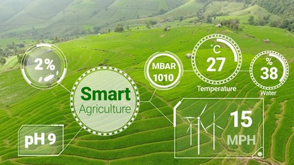 Smart digital agriculture technology by futuristic sensor data collection management by artificial intelligence to control quality of crop growth and harvest. Computer aided plantation grow concept.