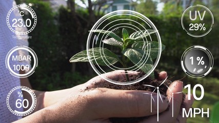 Smart digital agriculture technology by futuristic sensor data collection management by artificial intelligence to control quality of crop growth and harvest. Computer aided plantation grow concept.