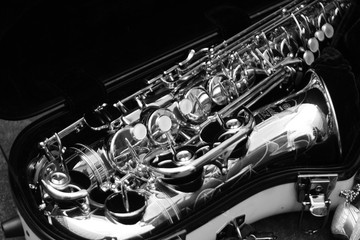 Obraz premium サックス