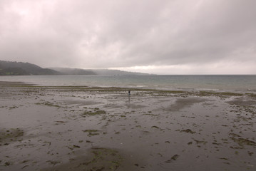 chiloe 
