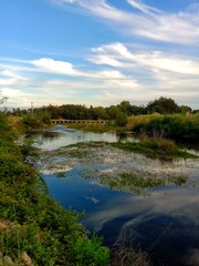 Naturaleza en Chile Central. R&iacute;o Ancoa, Linares.