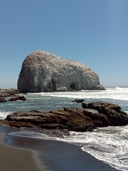 Piedra de la iglesia. monumento natural en Constitución, Maule, Chile. paisajes naturales 