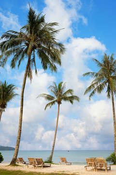 Coconut trees by the beach with beautiful skies and clouds With beach chairs to sit and relax The sea is turquoise green and the boat floats. Summer holiday concept image.