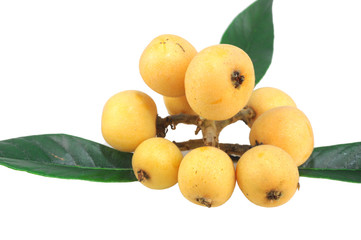 a bunch of loquat isolated on white background