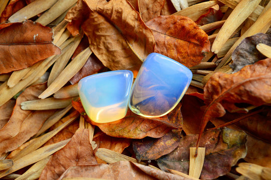 opalite  stones on leafs background