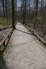 Gravel footpath through outdoor park forest