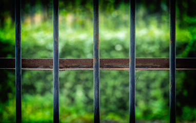 Old fence with green blurry background