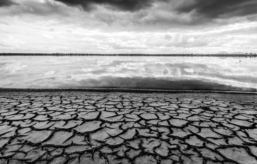 Cracked earth at a saltpond prior to restoration of the site as a coastal saltmarsh