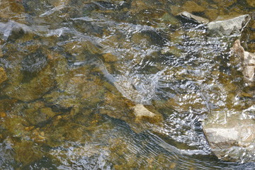 Water ripples on flowing stream with bright sunlight background