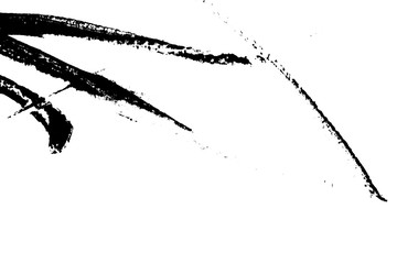 abstract black brush stroke silhouette of watercolor drawing paint texture on white background