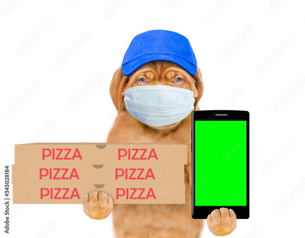Aufkleber pizza delivery dog wearing medical protective mask and blue cap holds pizza boxes and smartphone wit